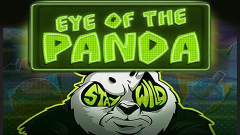 Eye of the Panda