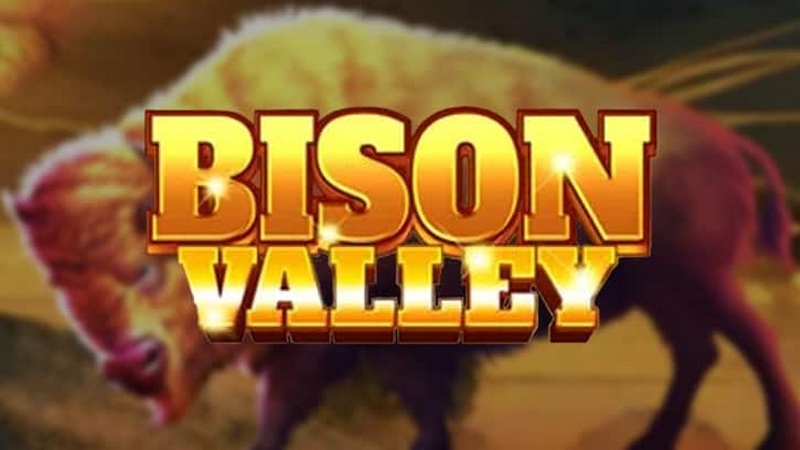 Bison Valley