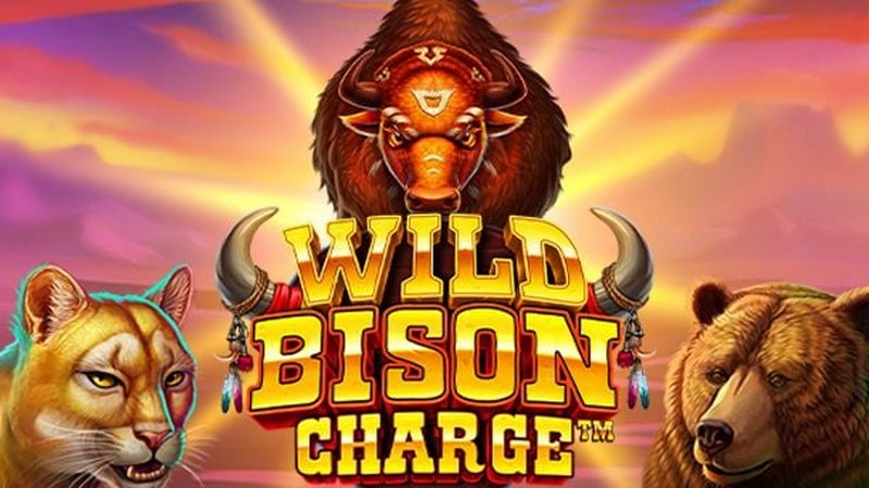 Wild Bison Charge