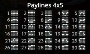 Paylines 4x5