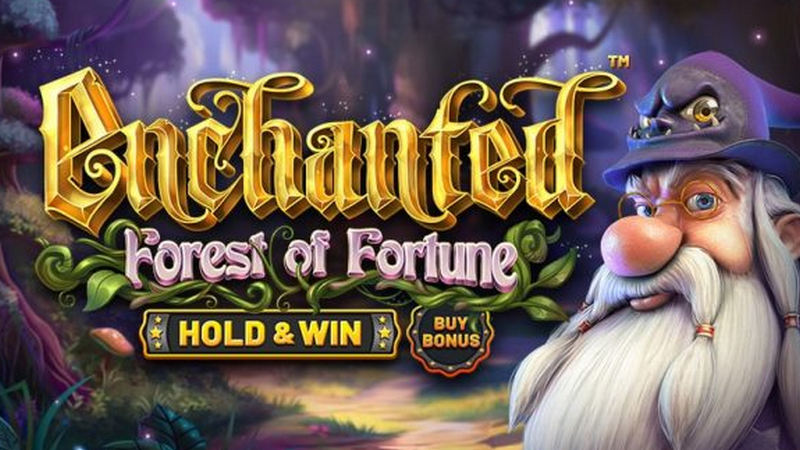 Enchanted: Forest of Fortune