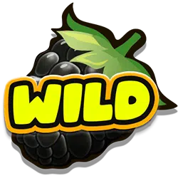 Wild Symbol