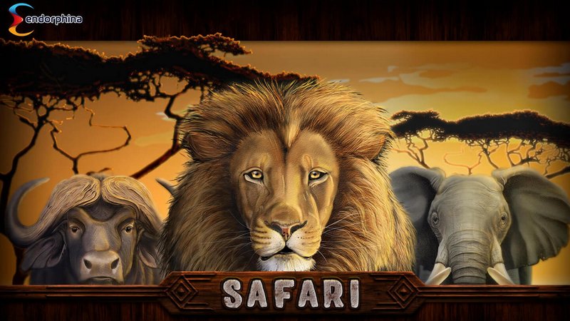 Safari