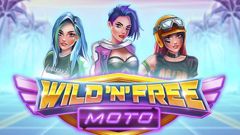 Wild ‘N’ Free Moto