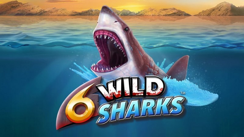 6 Wild Sharks