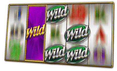 Wild Spins