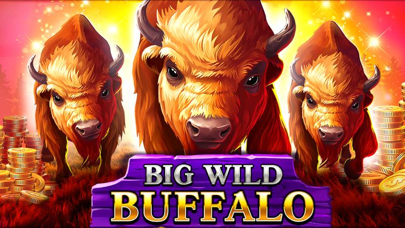 Big Wild Buffalo