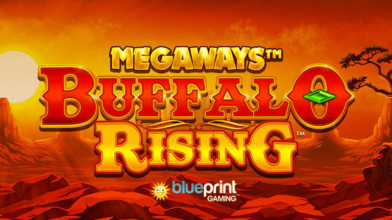 Buffalo Rising