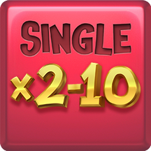 multiplier single