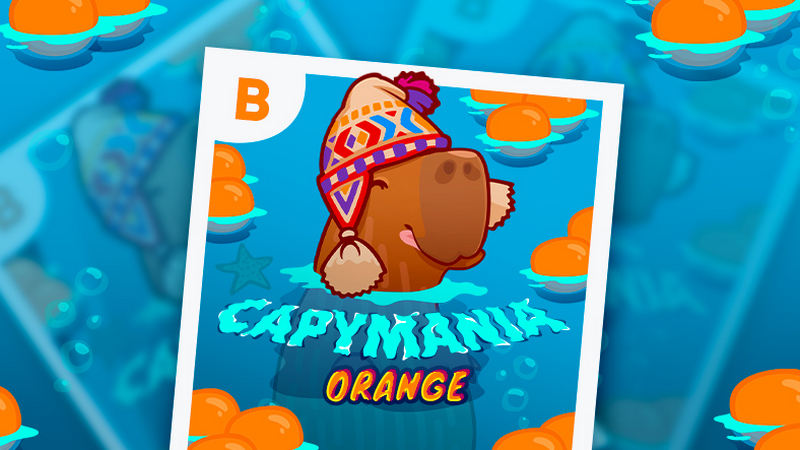 Capymania Orange