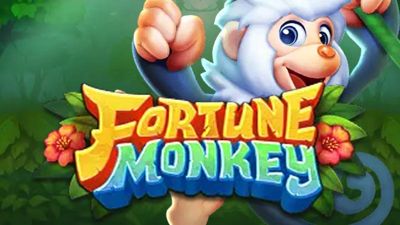 Forfune Monkey