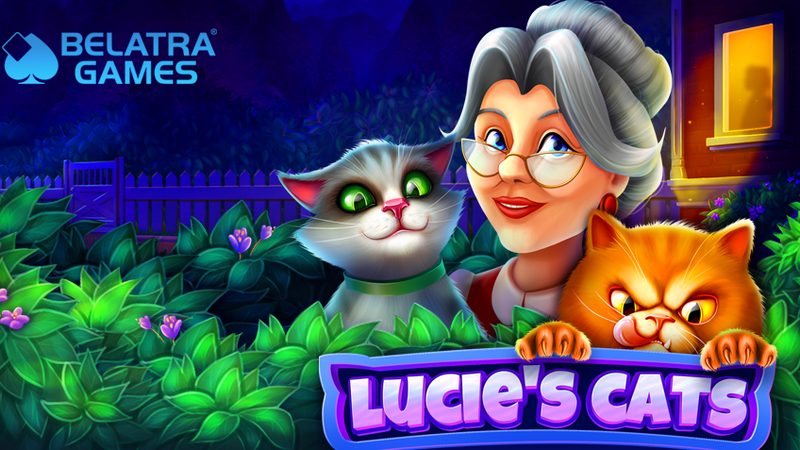 Lucie’s Cats