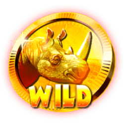 Wild Symbol