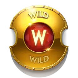 Multiplier Wild Symbols