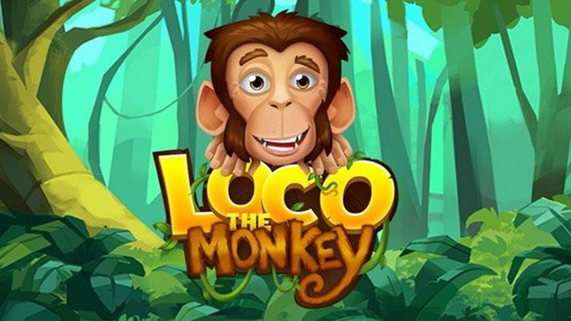 Loco the Monkey