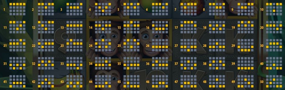 Loco the Monkey Slot Paylines