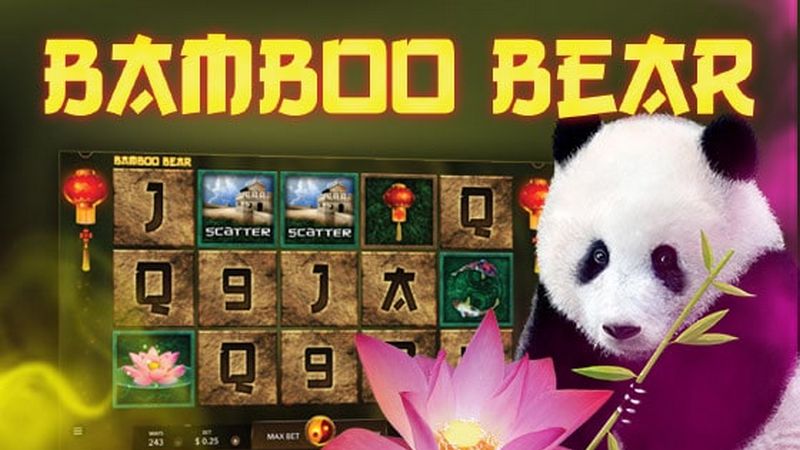 Bamboo Bear