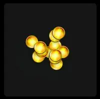 The coin prize