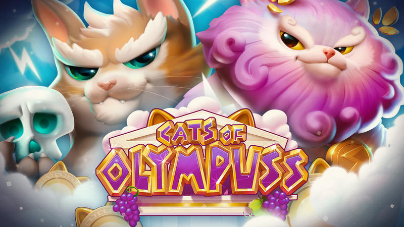 Cats of Olympuss