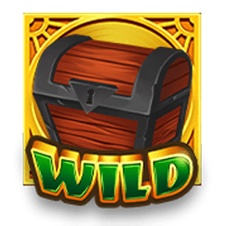 Wild Symbol