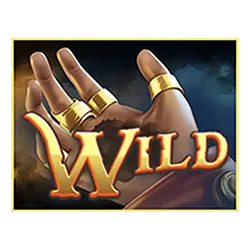 Wild Symbol