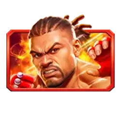 Fighter Symbol
