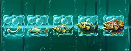 Fish Lines