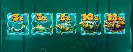 Cash Fish