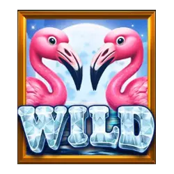 Wild