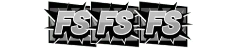 fs 3