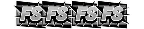 fs 4