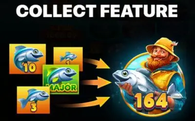 Collect Feature