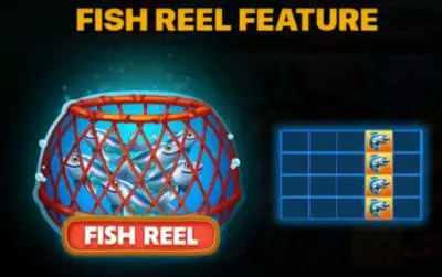 Fish Reel Feature
