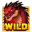 Wild Symbols