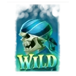 Wild Symbol
