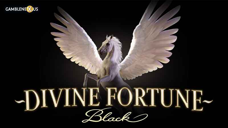 Divine Fortune Black