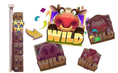 Progress Wild
