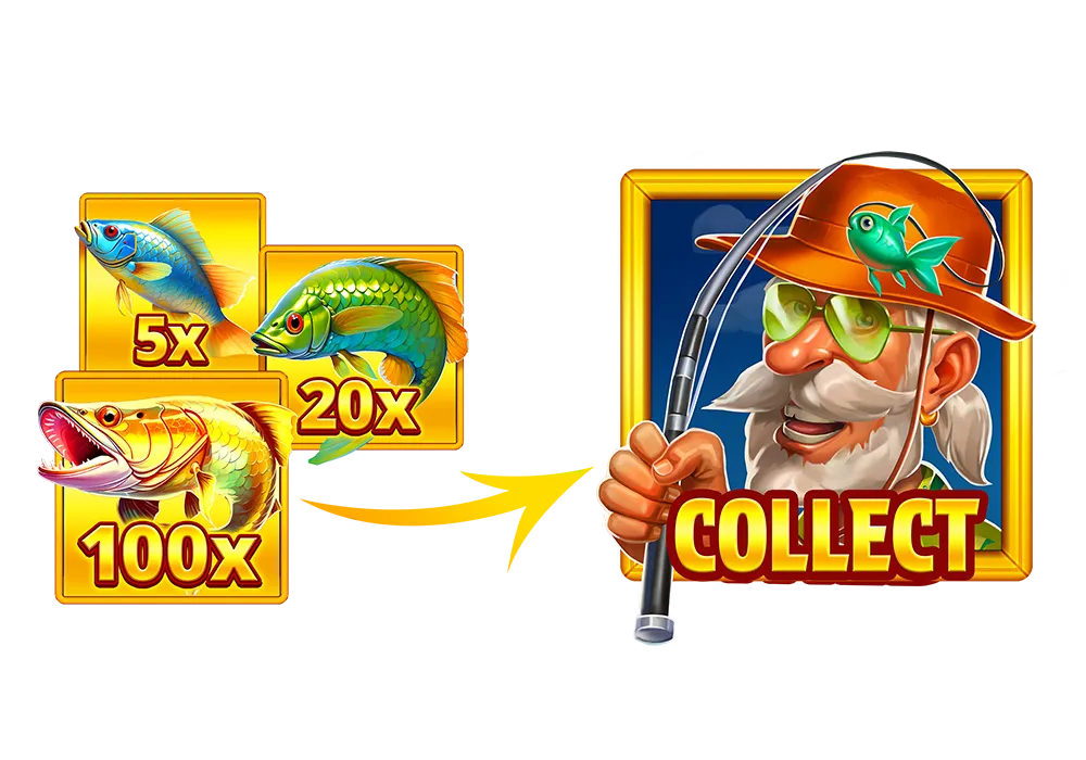 Cash Collection