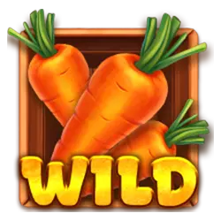 Wild Symbol