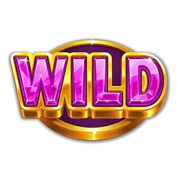 Wild Symbol