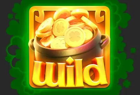 Wild Symbol