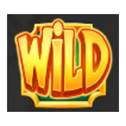 Wild Symbol