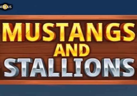 Mustangs and Stallions