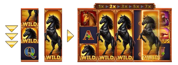 Walking Wilds Respins