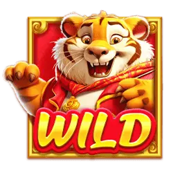 Wild Symbol