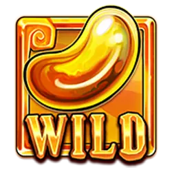 Wild Symbol