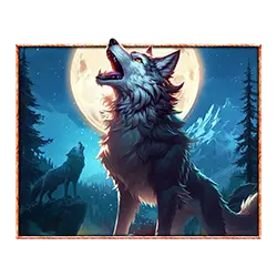 Wolf Stacked