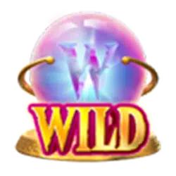 Wild Symbol