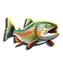 Cash Fish Symbols