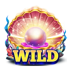 Wild Symbol